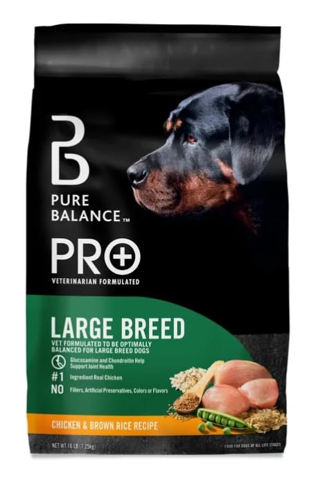 Large Breed Chicken & Brown Rice Dry Dog Food 16 Lbs N186155