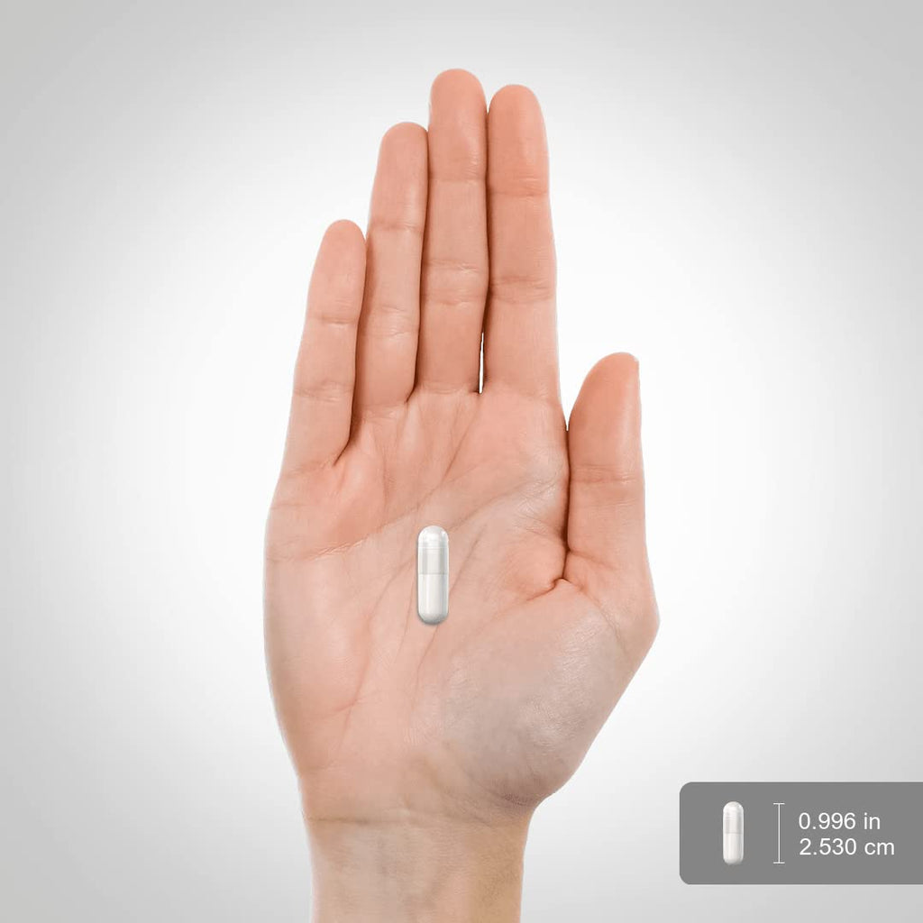 MSM 1000mg Capsules 250 Count K5383