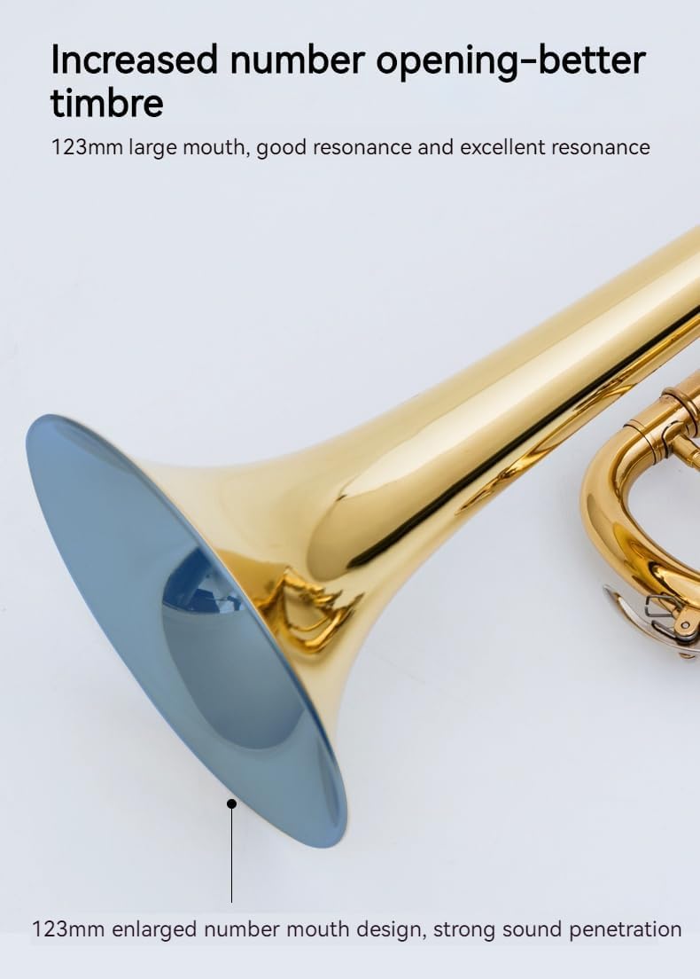 Golden B Flat Three-Tone Trumpet with Box Maintenance Suit X184