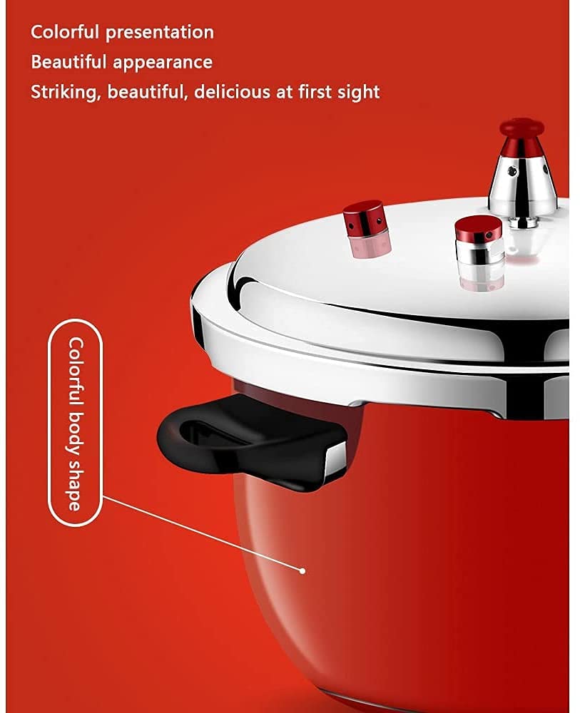 Stainless Steel 3L Pressure Cooker O5267