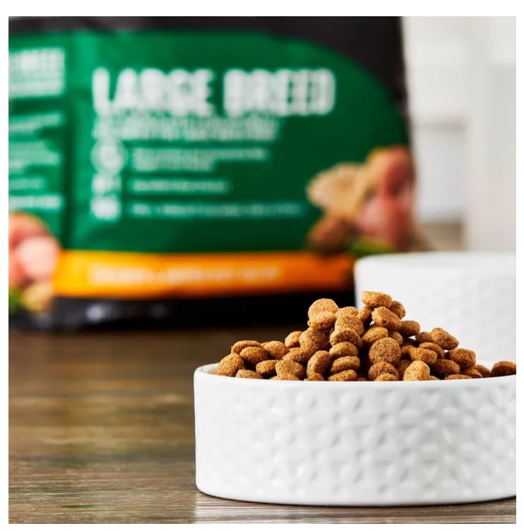 Large Breed Chicken & Brown Rice Dry Dog Food 16 Lbs N186155