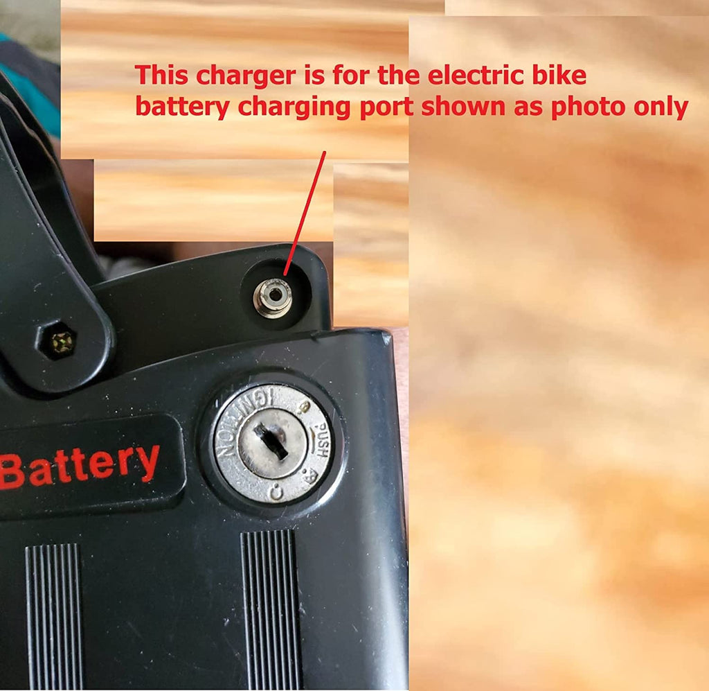 42V 2A Fast Charger I852