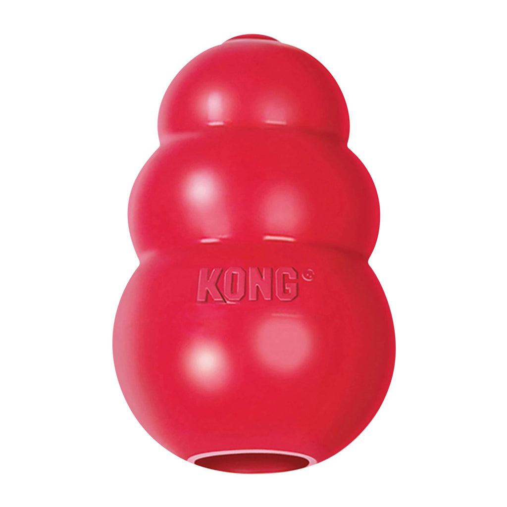Classic Stuffable Natural Rubber Dog Toy Y69900