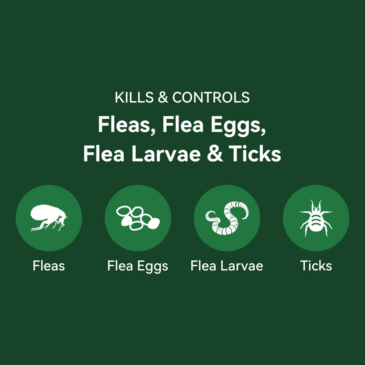 Cat Flea and Tick Treatment 6-Month Supply I80613