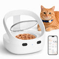 Wet & Dry Food Cat Feeder K69634