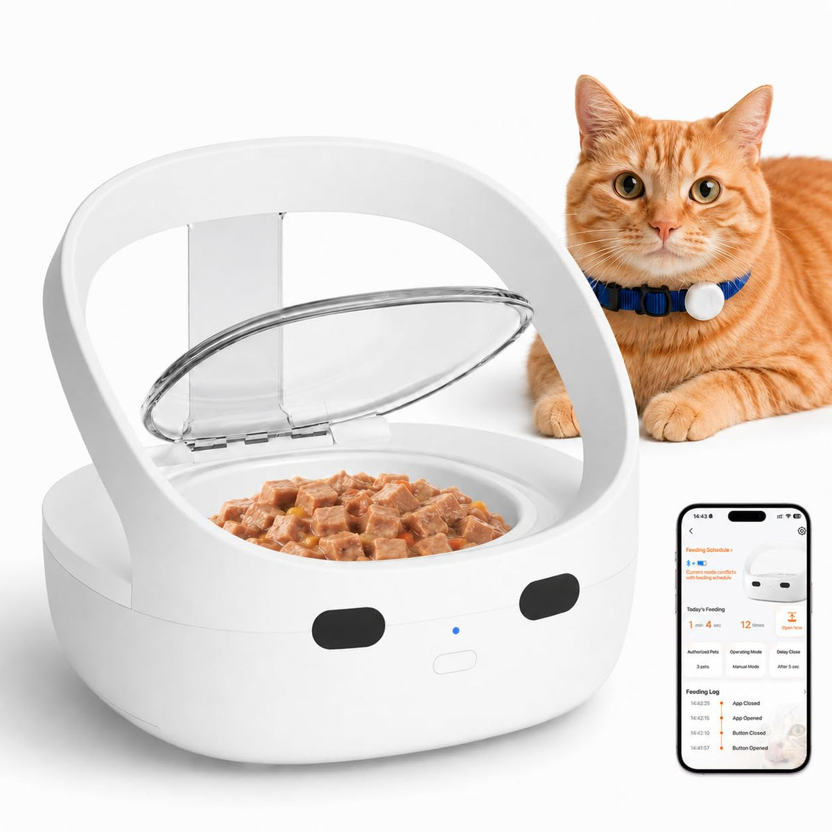 Wet & Dry Food Cat Feeder K69634