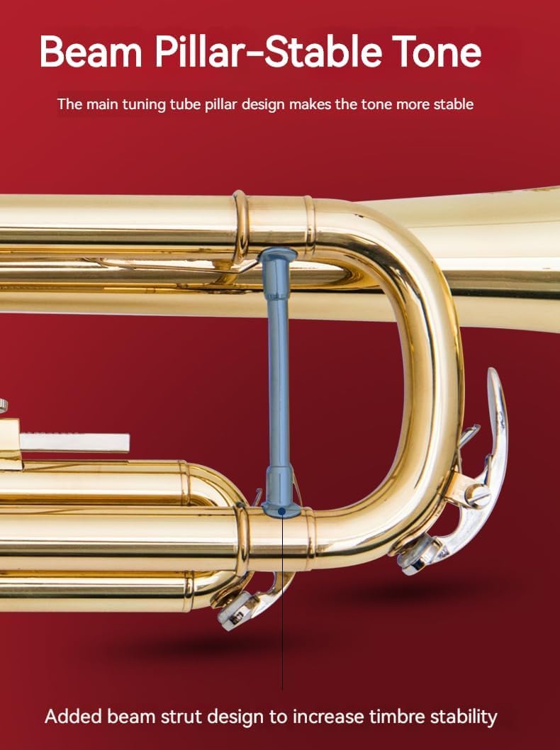 Golden B Flat Three-Tone Trumpet with Box Maintenance Suit X184