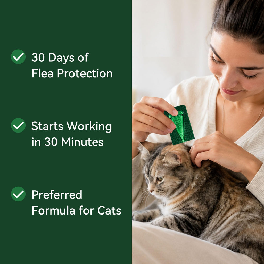 Cat Flea and Tick Treatment 6-Month Supply I80613