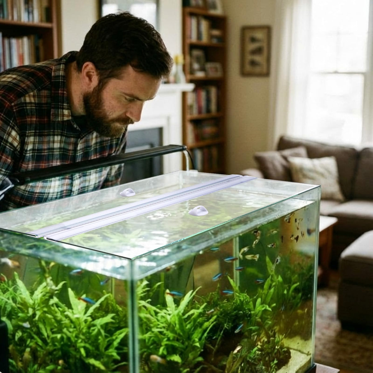 Aquarium Glass Canopy 19.33" x 9.65" x 0.12" J8669