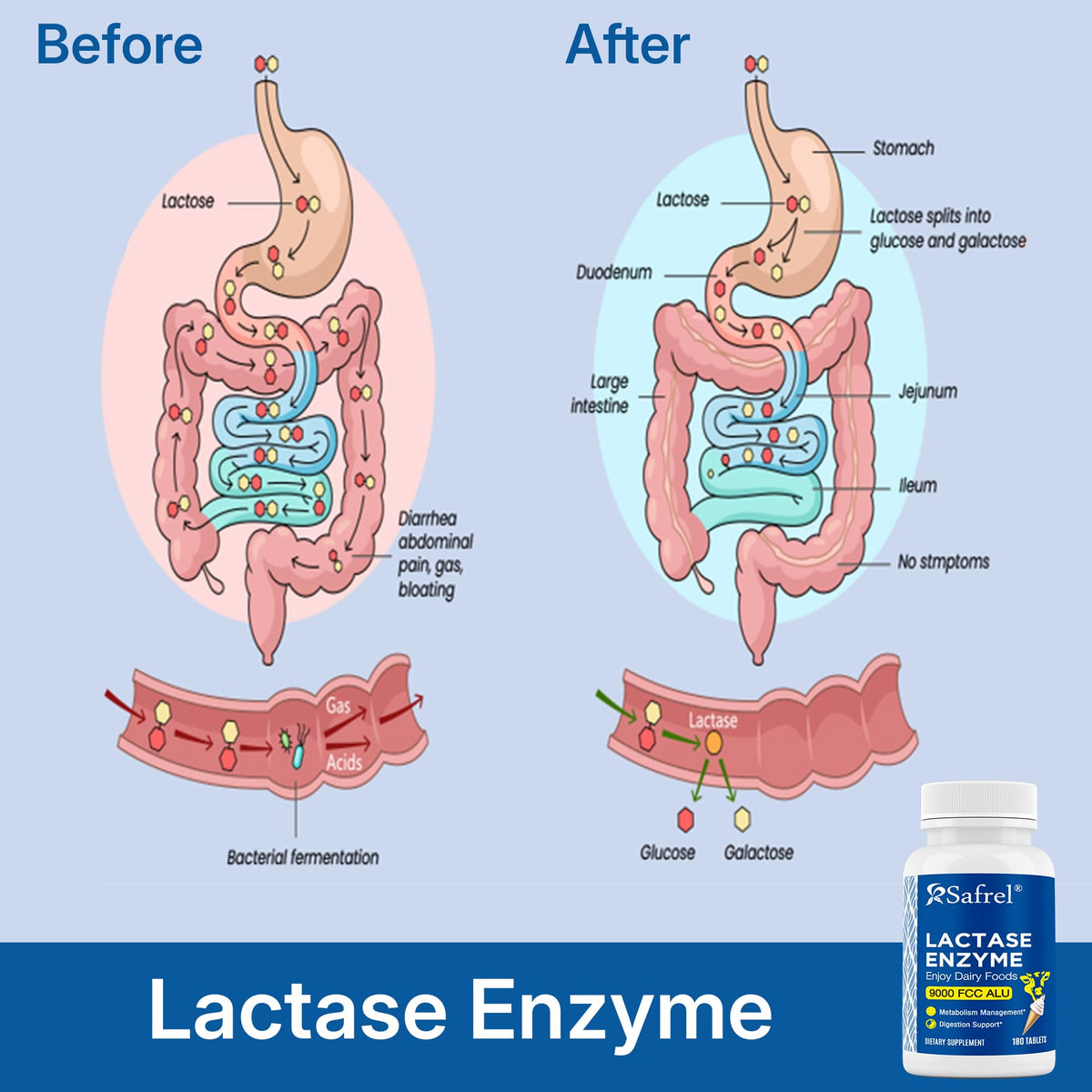Lactase Enzyme 9000 FCC Unflavored Tablets 180 Ct A40777