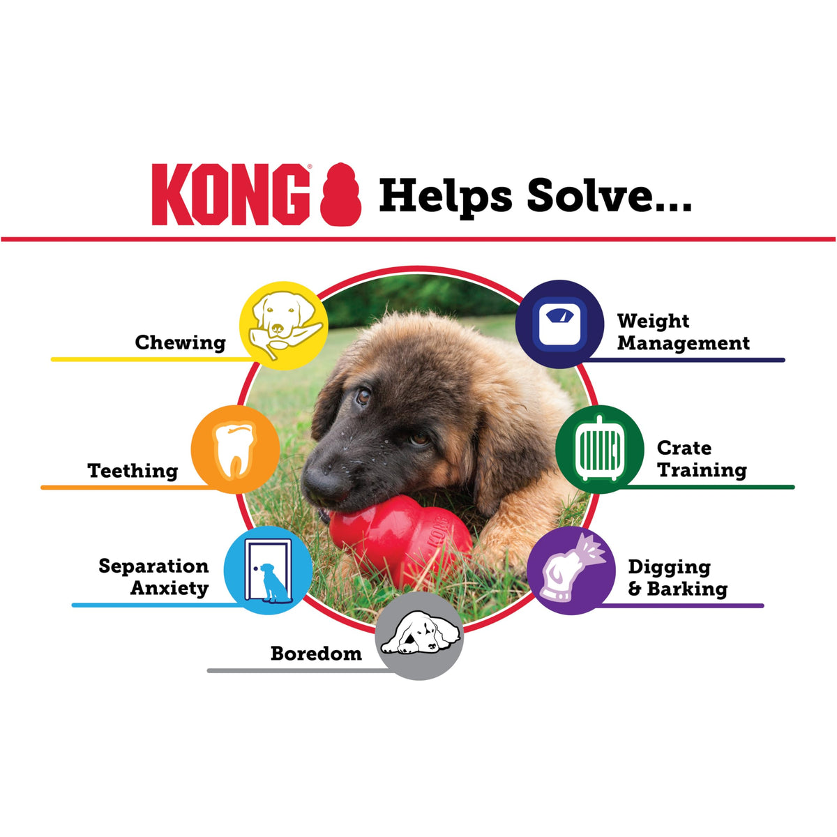 Classic Stuffable Natural Rubber Dog Toy Y69900