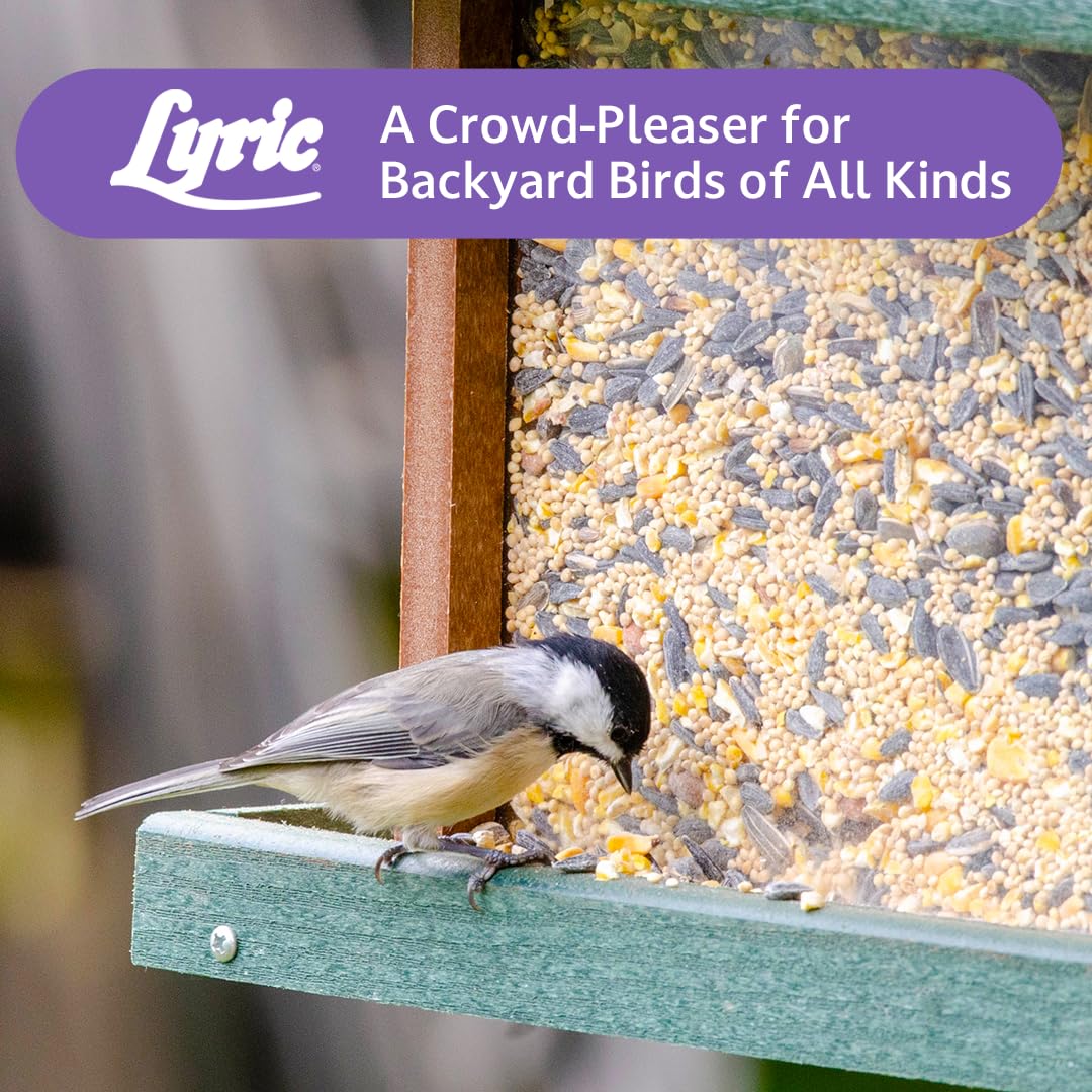 Wild Bird Seed Mix 20 lb Bag Q31336