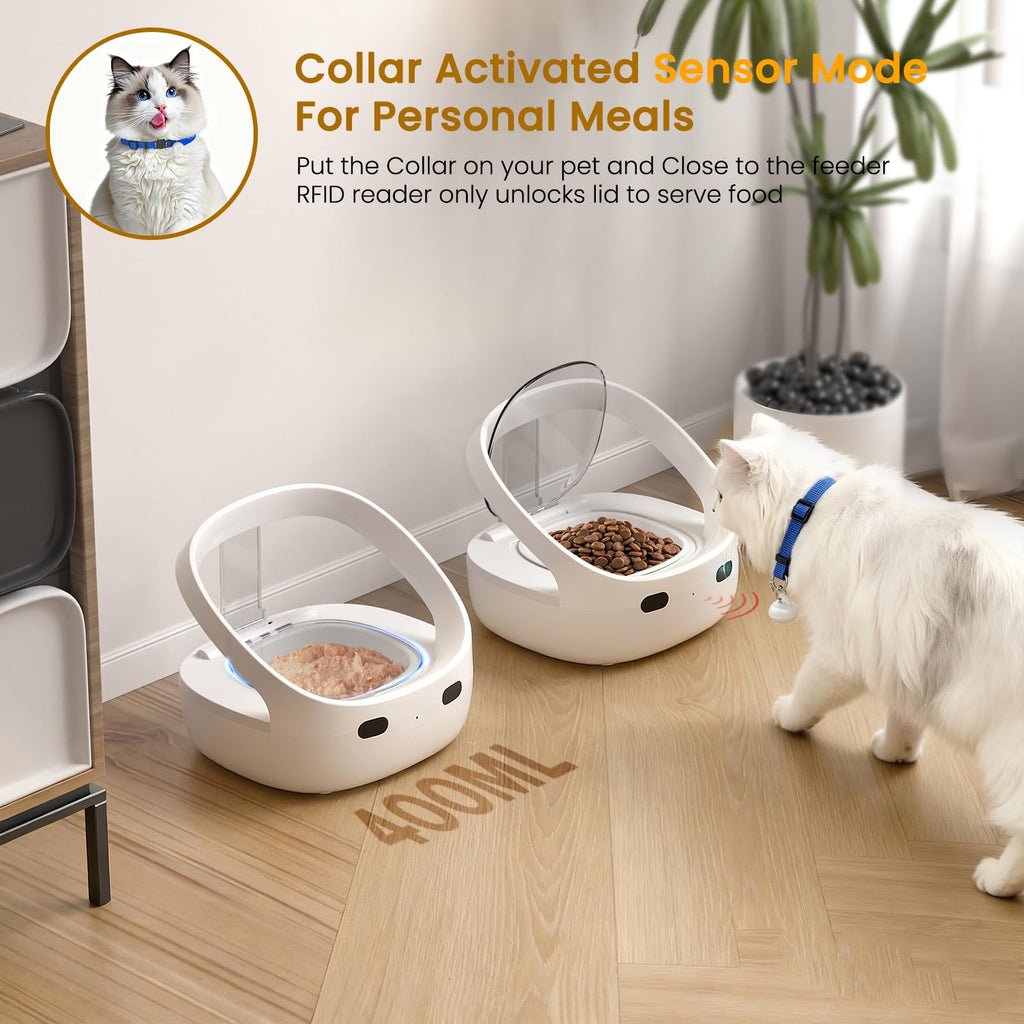 Wet & Dry Food Cat Feeder K69634