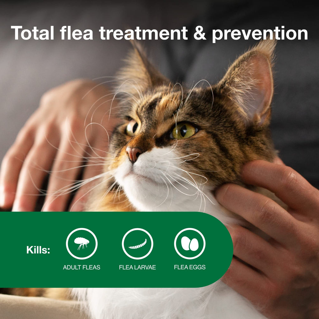 Large Cat Topical Flea Treatment & Prevention 2ct D262