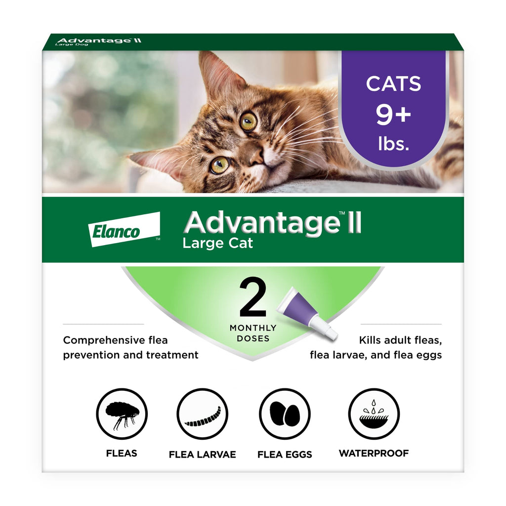 Large Cat Topical Flea Treatment & Prevention 2ct D262