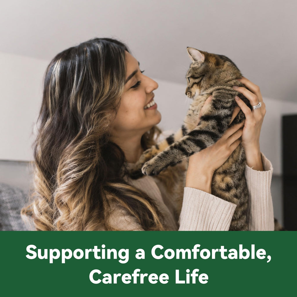 Cat Flea and Tick Treatment 6-Month Supply I80613