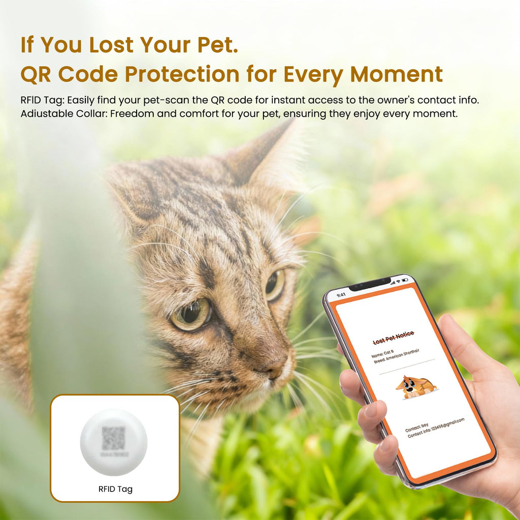 Wet & Dry Food Cat Feeder K69634