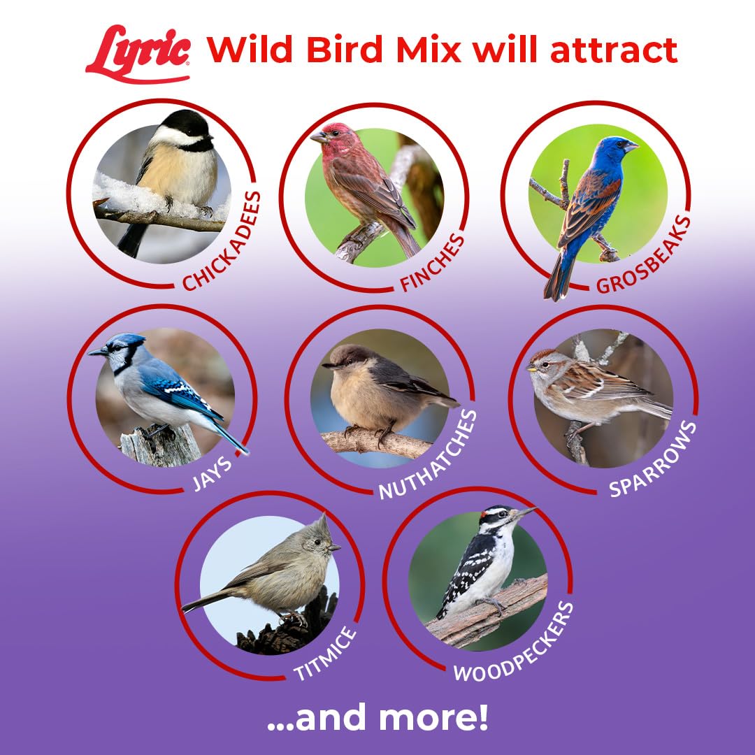 Wild Bird Seed Mix 20 lb Bag Q31336