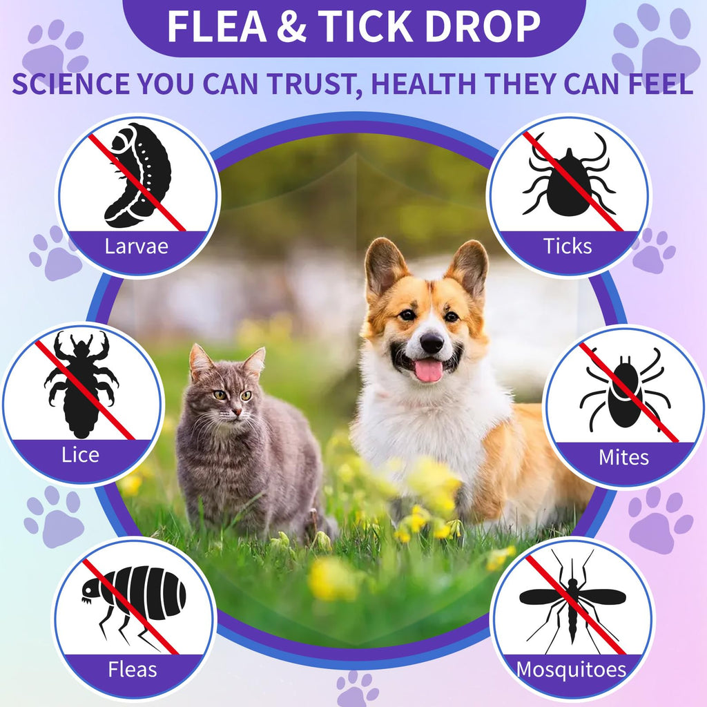 Flea and Tick Prevention for Cats & Dogs 60ml X2685