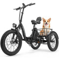 Electric Tricycle for Adults 750W Peak Motor 20"x3" Fat Tire X426608