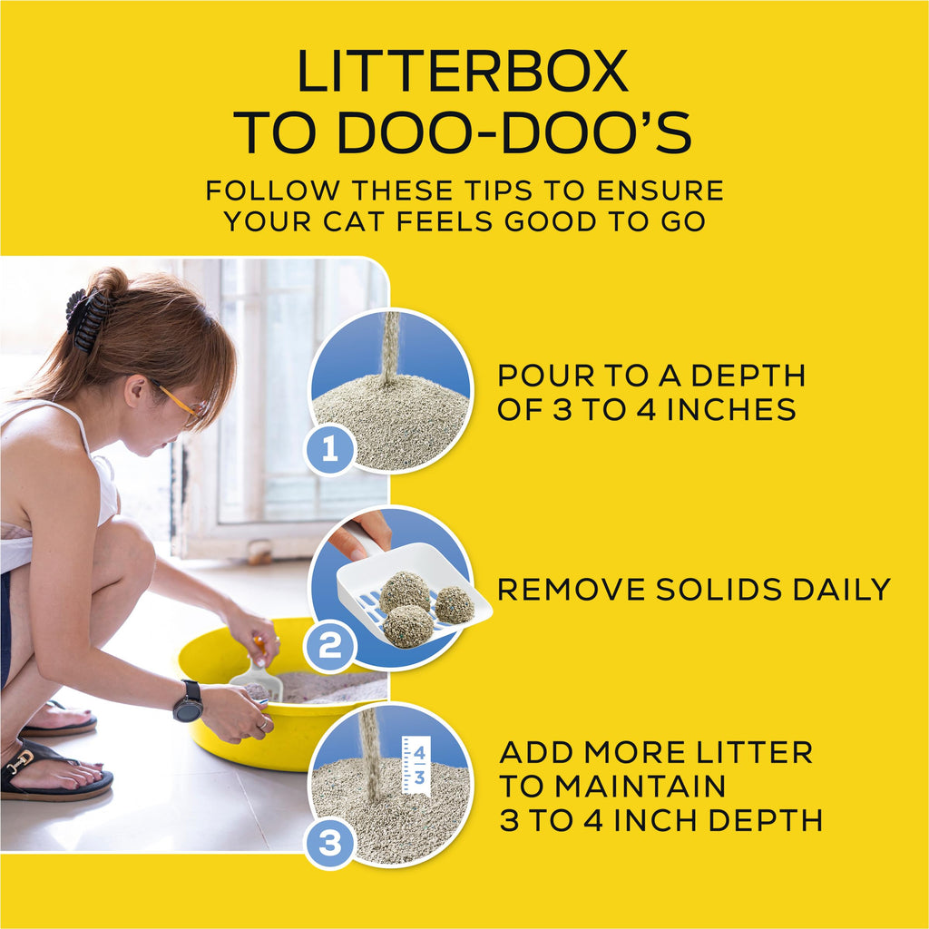 LightWeight Instant Action Cat Litter Q102718