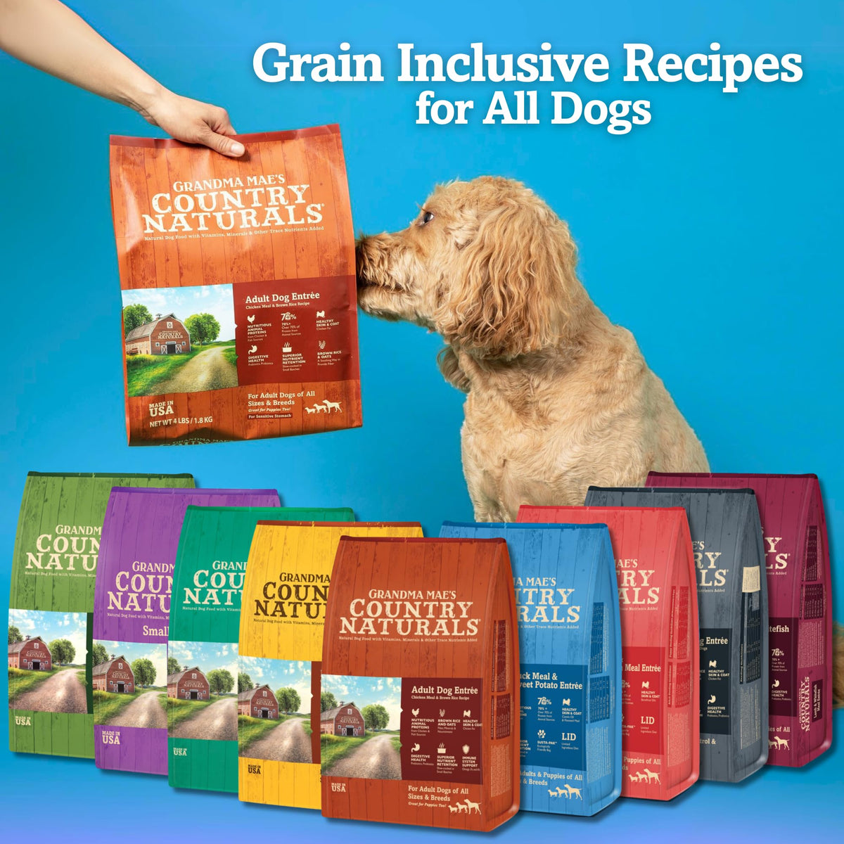 Chicken & Brown Rice Dry Dog Food 14 LB Bag B660