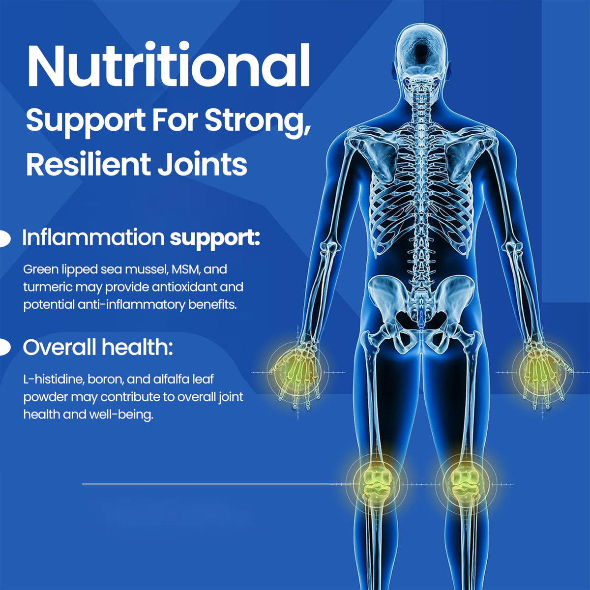 Joint Support Supplement 60 Tablets E2559