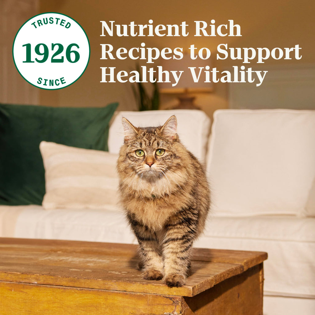 Adult Dry Cat Food Chicken & Brown Rice 5 lb J464