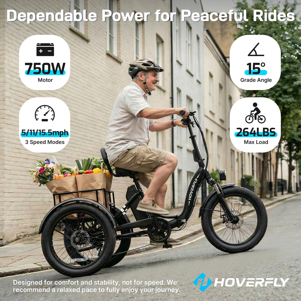 Electric Tricycle for Adults 750W Peak Motor 20"x3" Fat Tire X426608