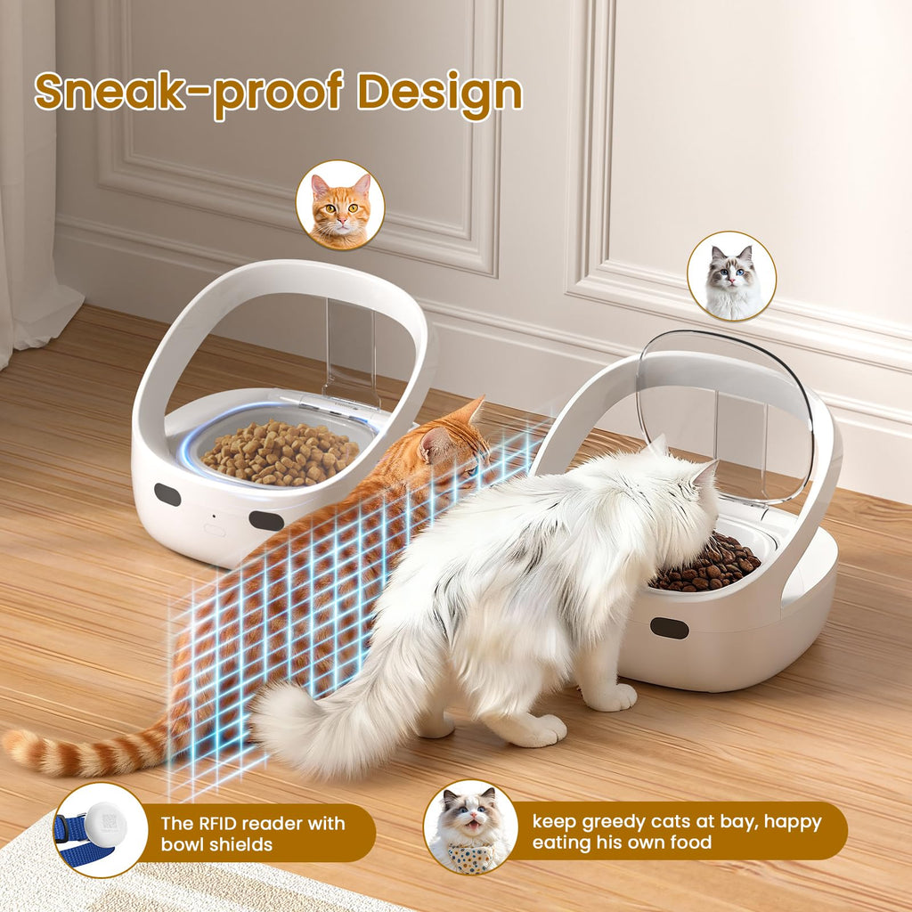 Wet & Dry Food Cat Feeder K69634