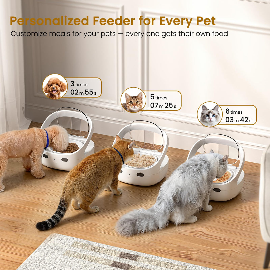Wet & Dry Food Cat Feeder K69634