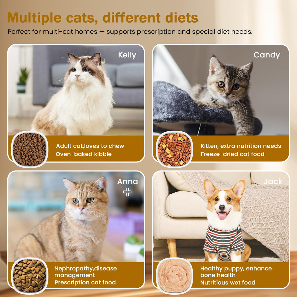 Wet & Dry Food Cat Feeder K69634