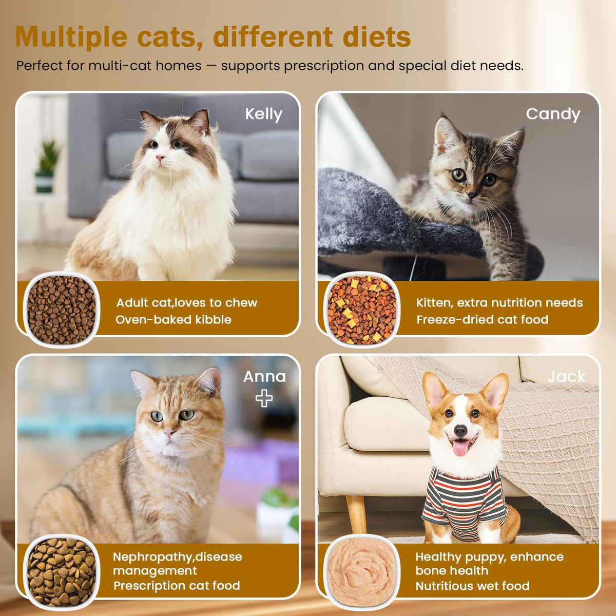 Wet & Dry Food Cat Feeder K69634