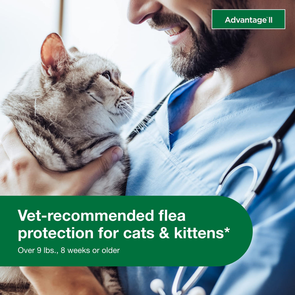Large Cat Topical Flea Treatment & Prevention 2ct D262