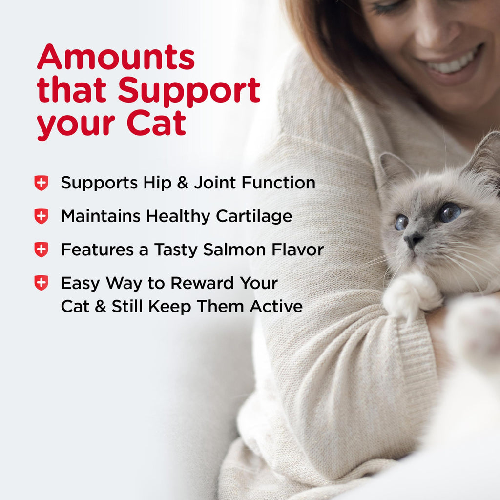 Cat Hip & Joint Supplement Glucosamine 3oz C979