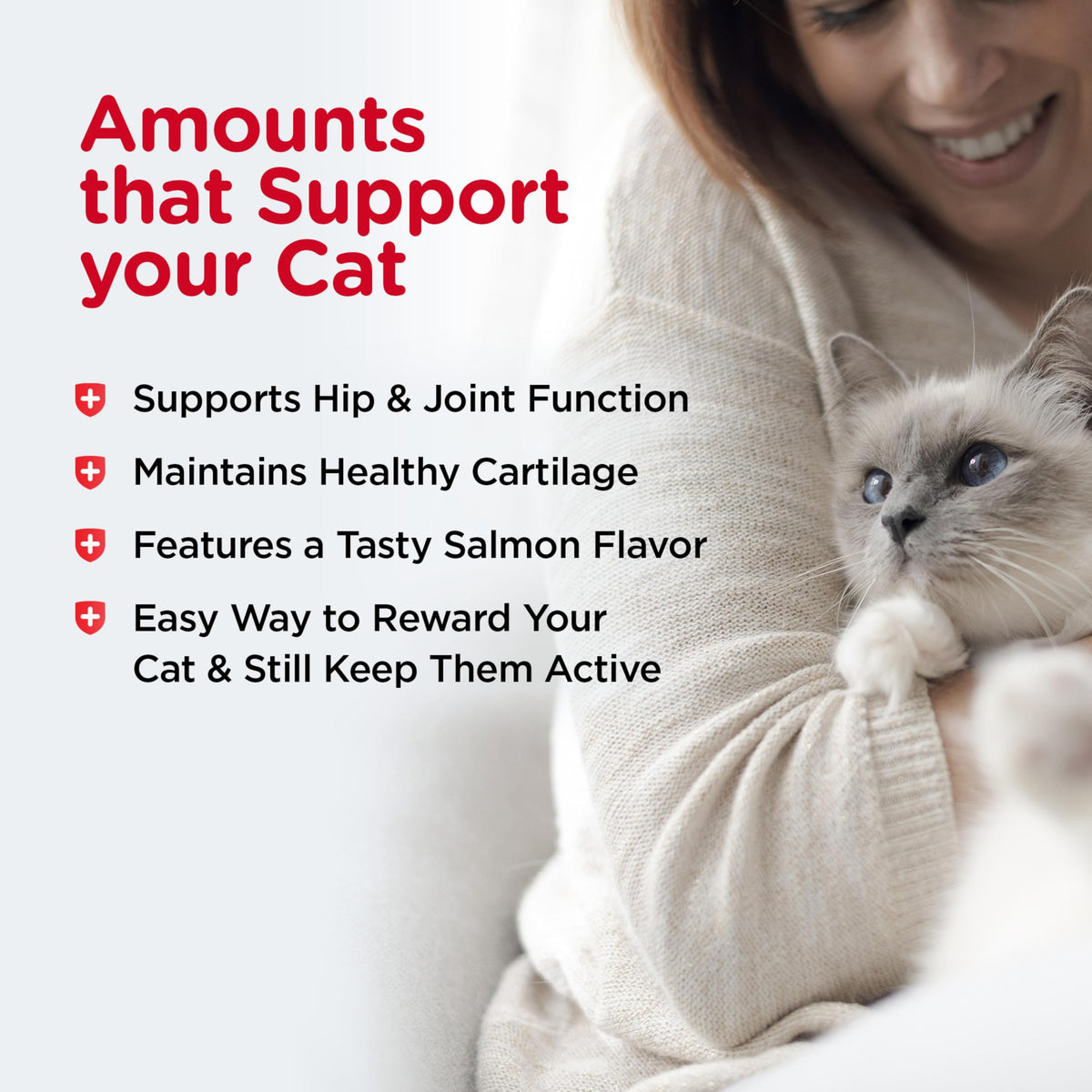 Cat Hip & Joint Supplement Glucosamine 3oz C979