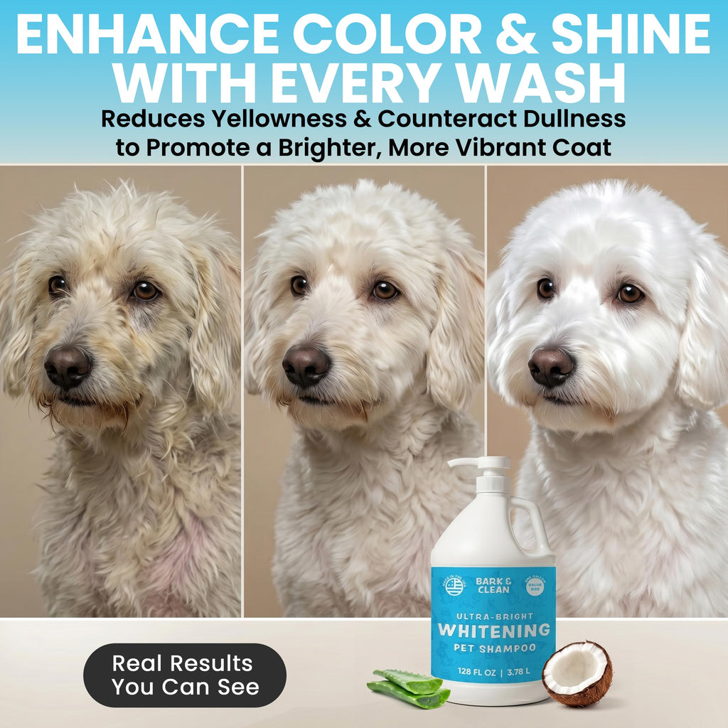 Whitening Dog Shampoo with Pump, 1 Gallon Aloe Coconut A4317