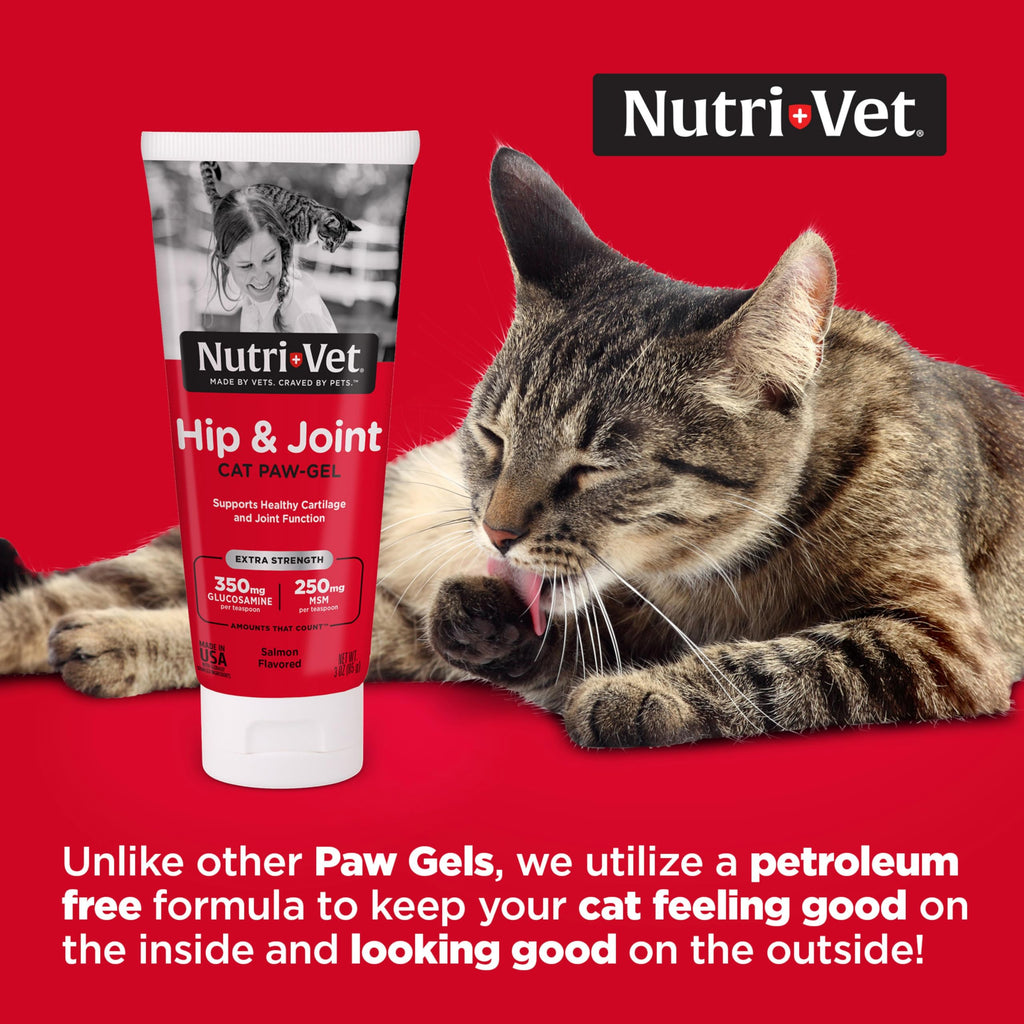 Cat Hip & Joint Supplement Glucosamine 3oz C979
