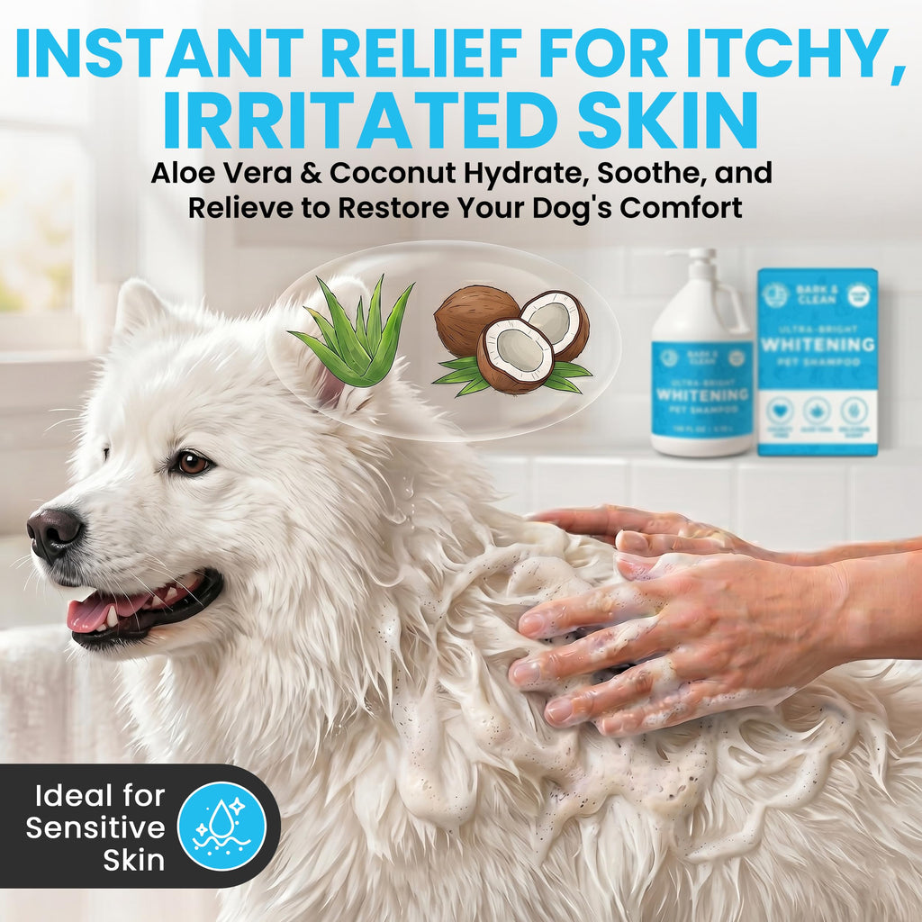Whitening Dog Shampoo with Pump, 1 Gallon Aloe Coconut A4317