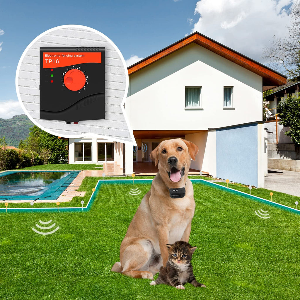 Electric Dog Fence, 984 Ft Wire, IP66 Waterproof Receiver Z760710