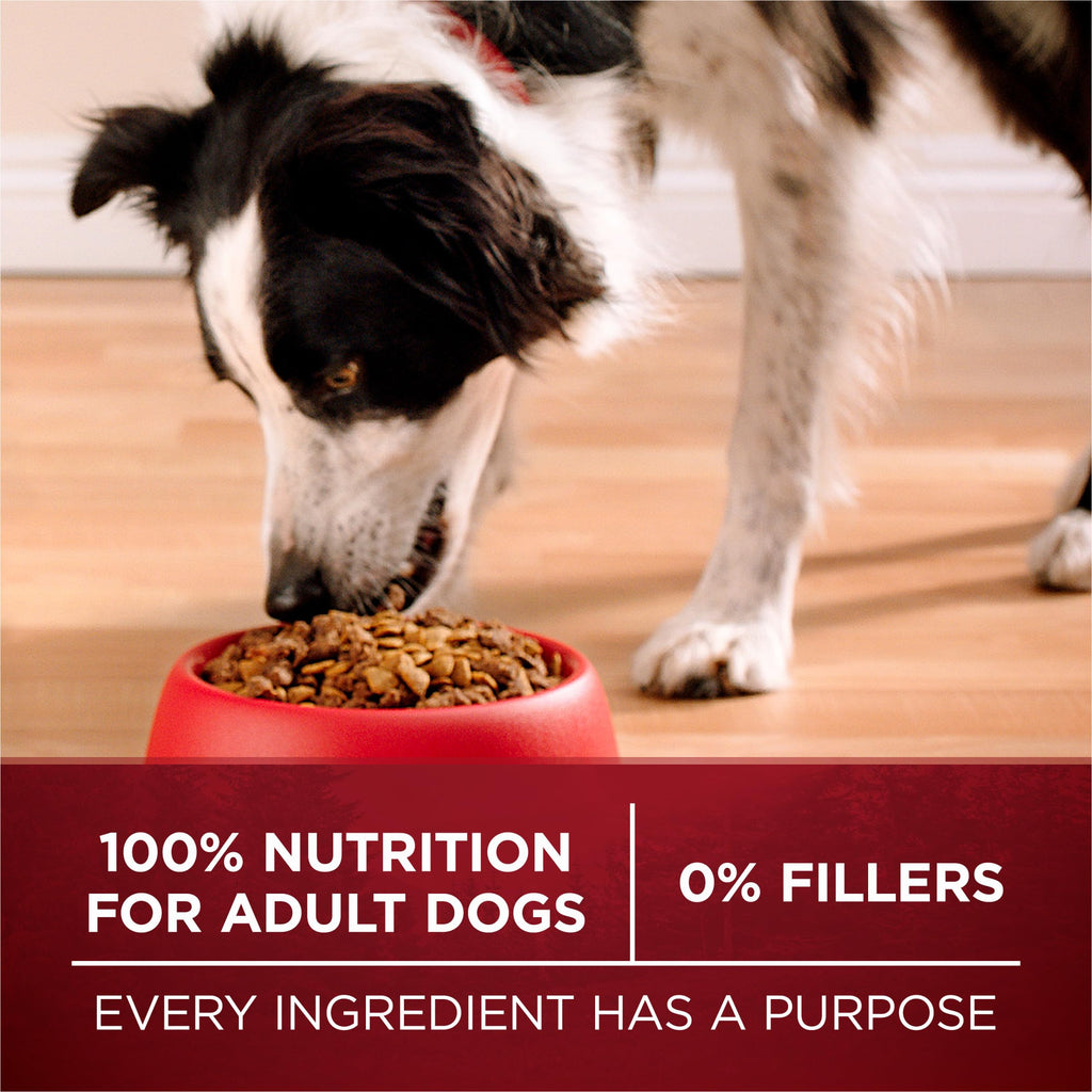 High Protein Chicken & Duck Dog Food J3919