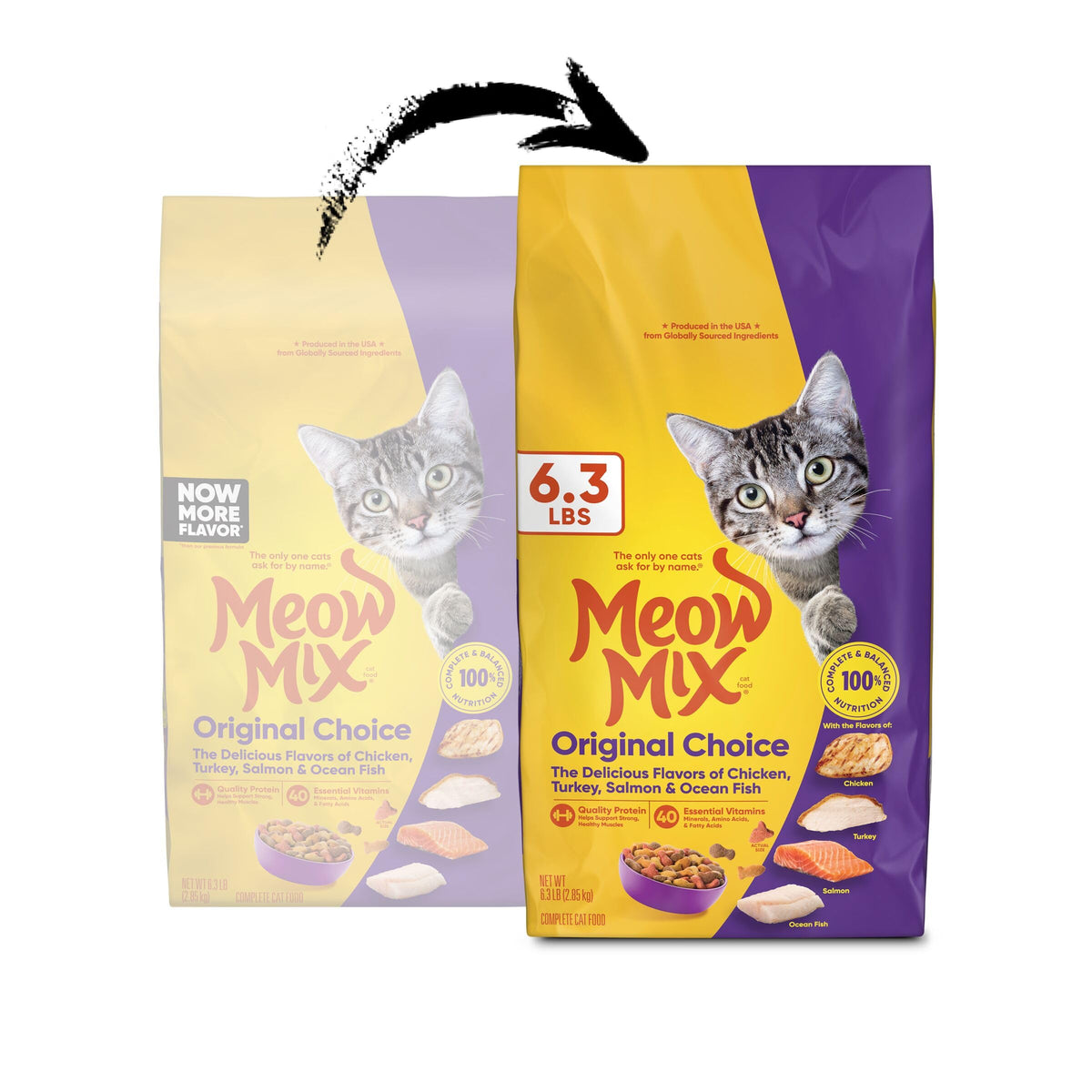 Dry Cat Food 6.3 Pound Bag C17873