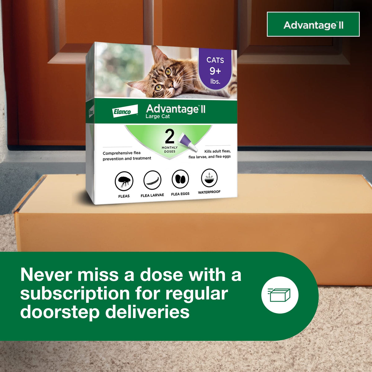 Large Cat Topical Flea Treatment & Prevention 2ct D262