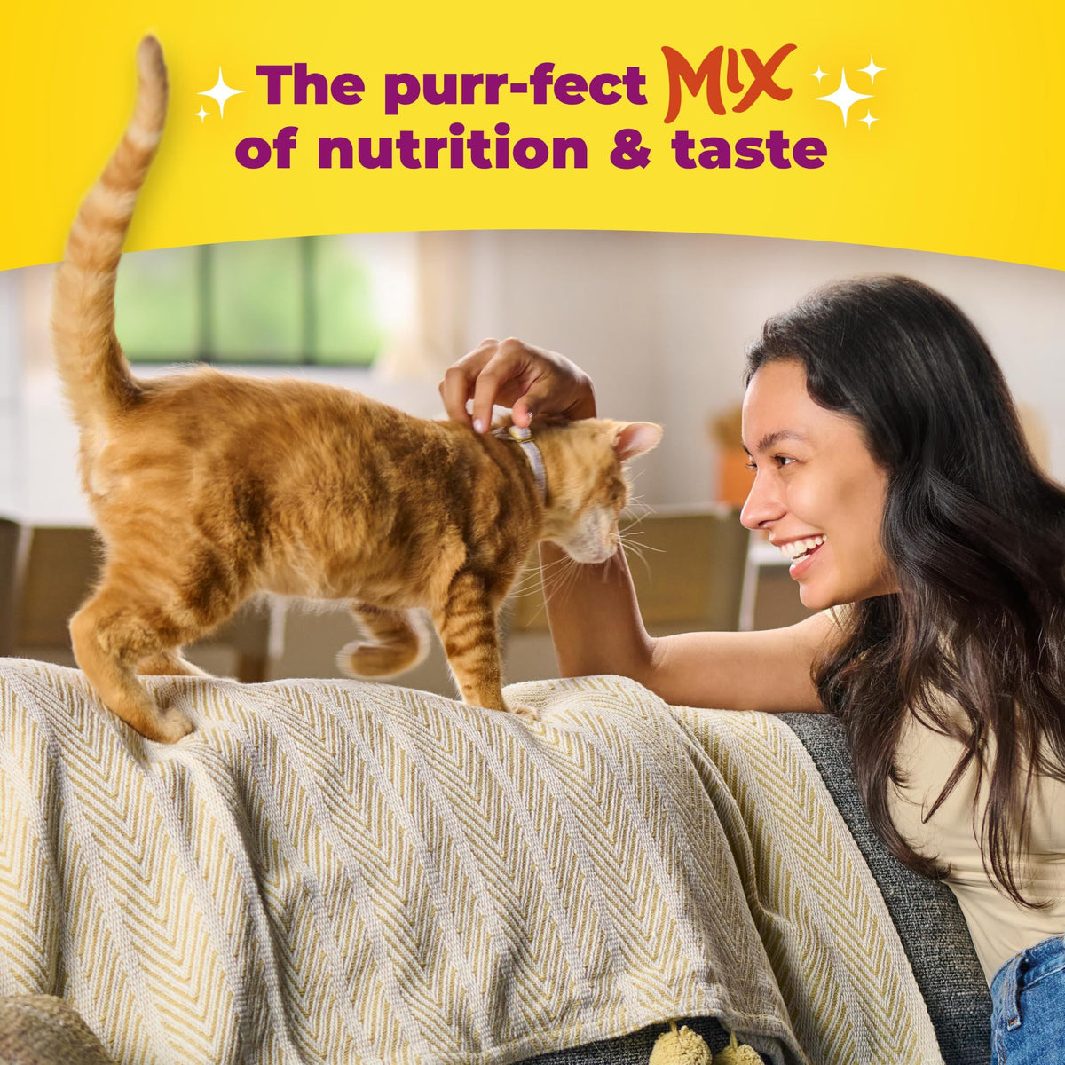 Dry Cat Food 6.3 Pound Bag C17873